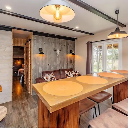 Apartment Saloon Avec Privatif