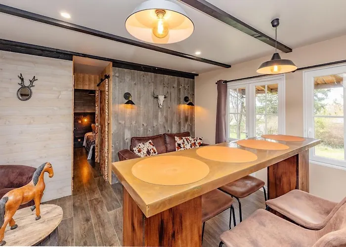 Apartment Saloon Avec Privatif