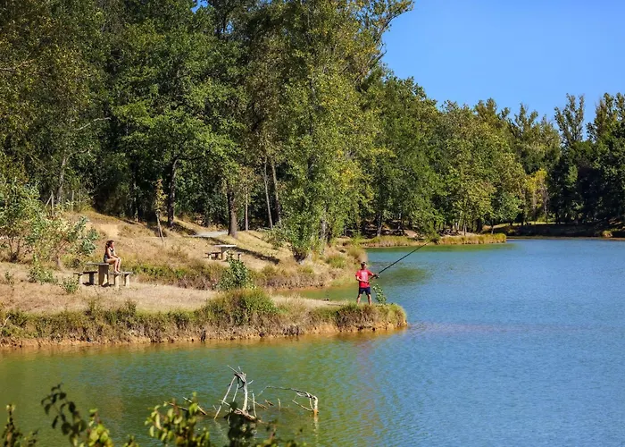 Apartment Saloon Avec Privatif Rabastens